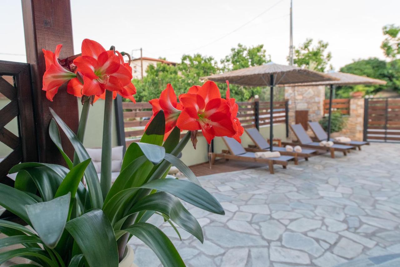 Villa Filyra Kato Gatzea Buitenkant foto